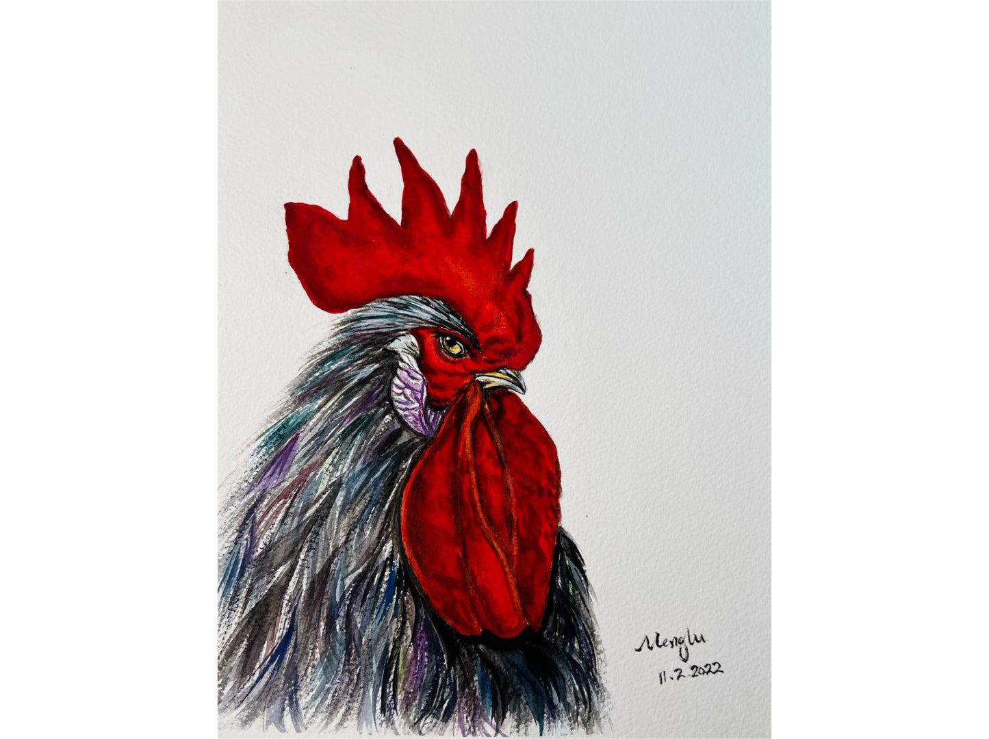 Angry Rooster