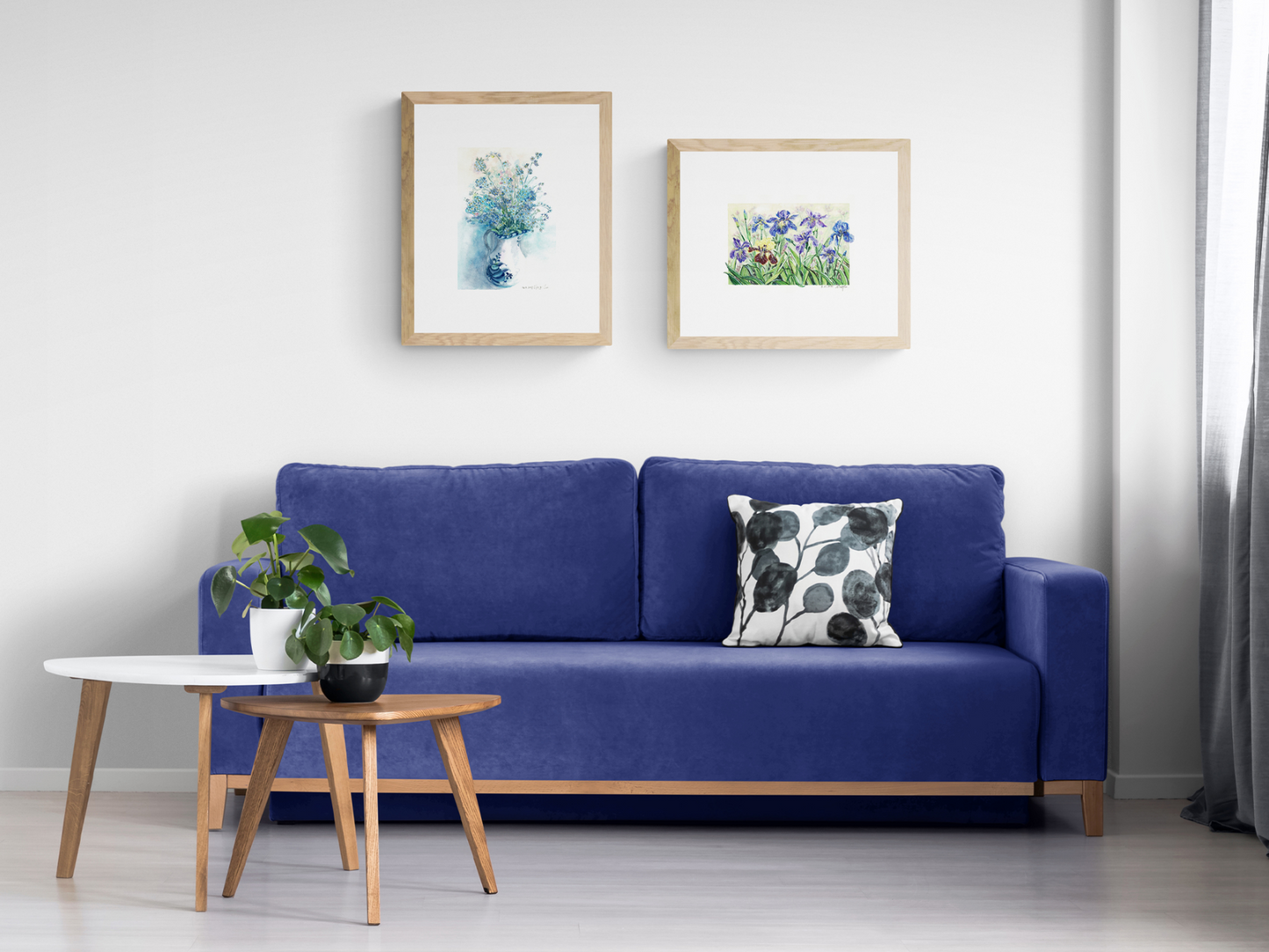 Blue Flowers in Pitcher