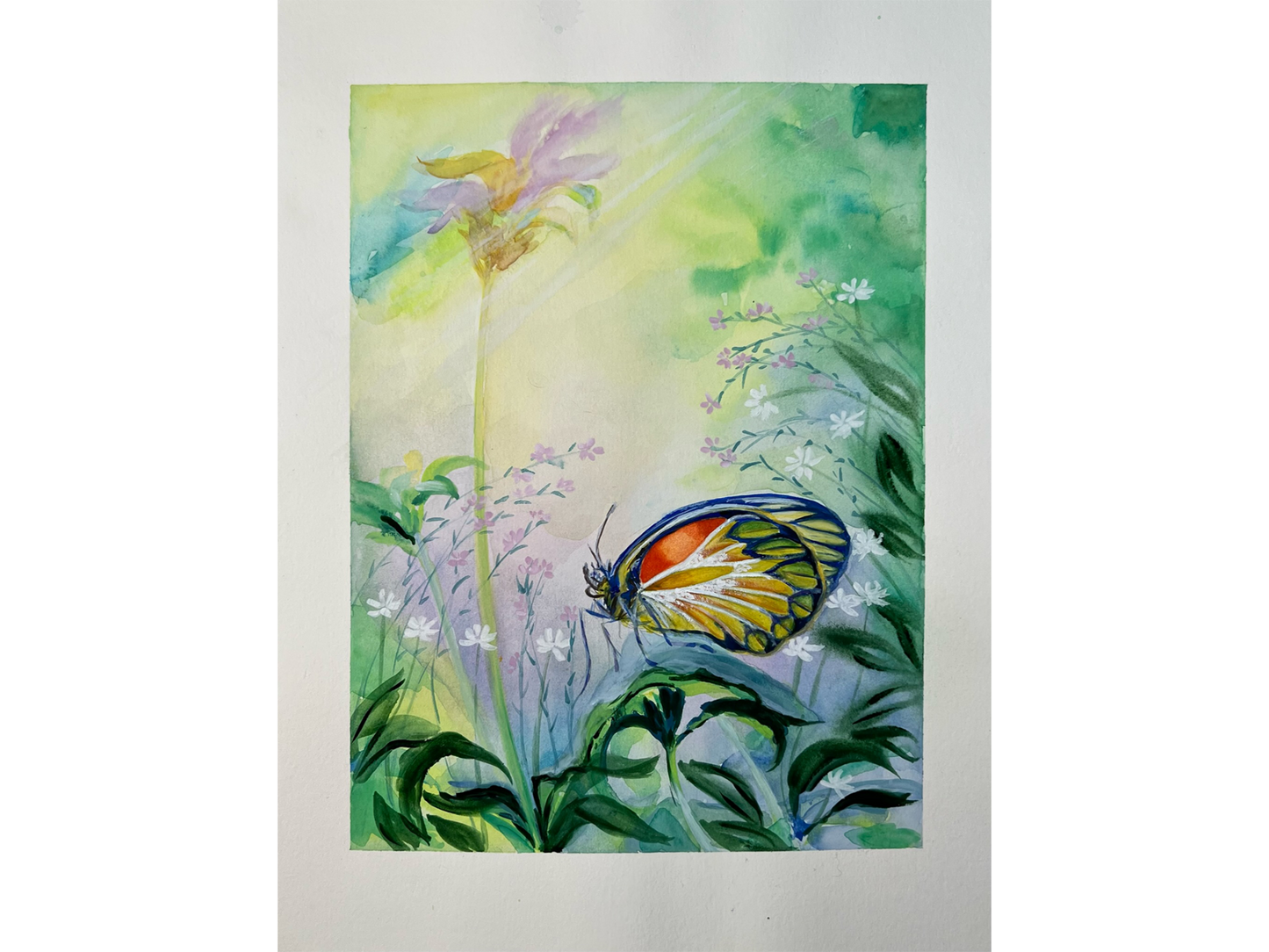 Butterfly in the Flowers