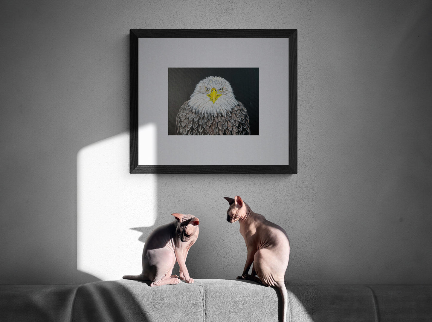 Eagle Eyes
