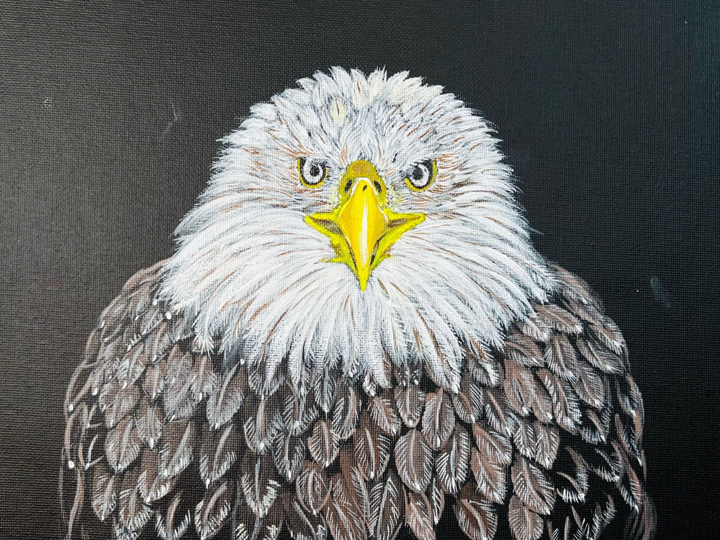 Eagle Eyes