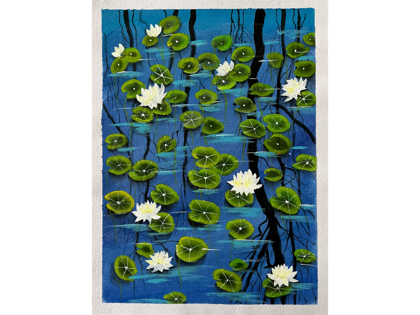 Lilly Pads in Spring