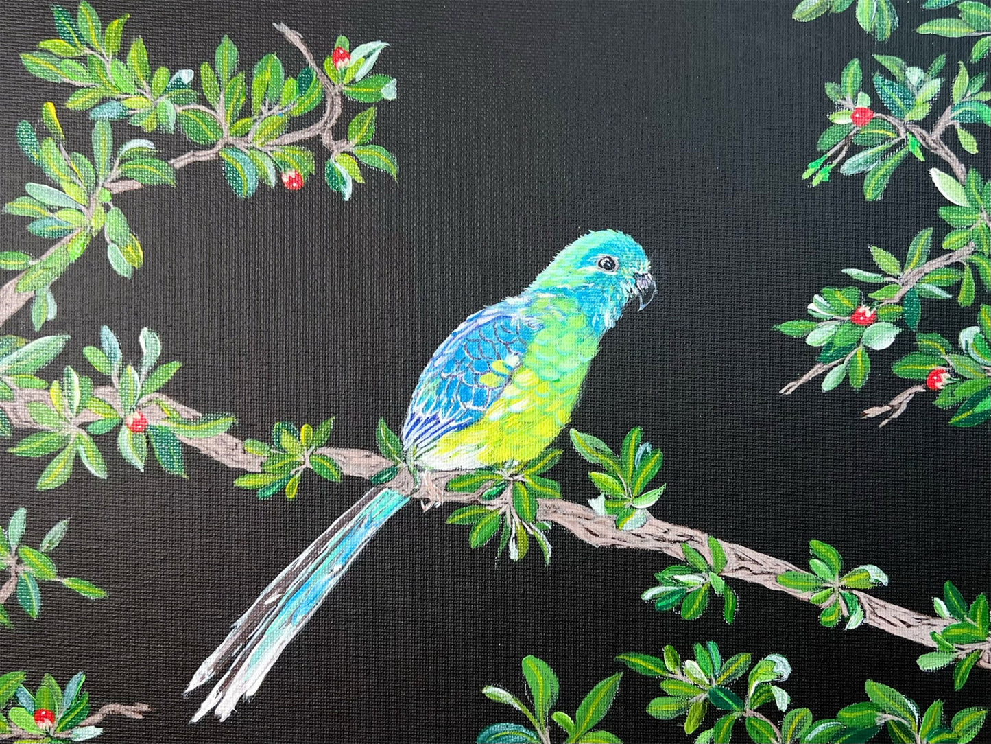 Parakeet at Night